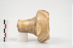 Foto von Elfenbeinschwertknauf (NHMW-PRAE-026406)